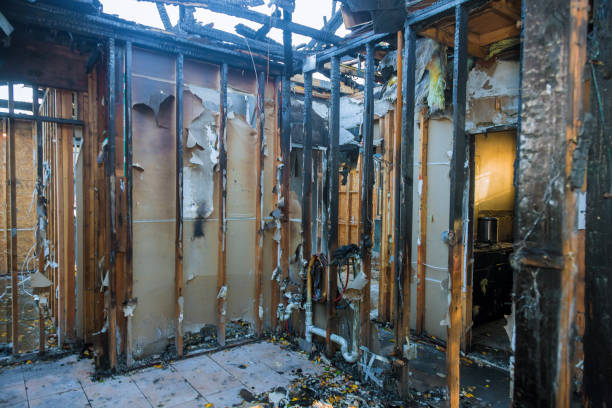 Professional Fire Damage Repair technician working in Chandler, TX